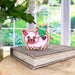 The whimsical When Pigs Fly Ornament, 3" from Forged Flare® features a charming pig with a pink body and wooden border, standing gracefully on a closed book. Adorned with iridescent wings and decorated with heart-shaped accents, this delightful piece is set against the backdrop of a bright window that opens up to reveal a lush green garden.